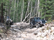 jed_in_the_rock_garden_part_1
