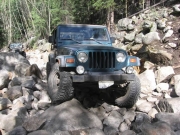 jed_in_the_rock_garden_part_3
