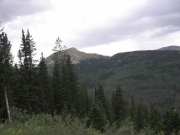 mountain_view