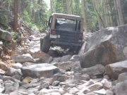 robert_in_the_rock_garden