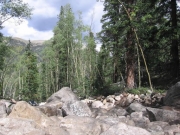 rock_garden_part_1