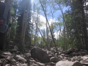 rock_garden_part_2