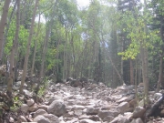 rock_garden_part_3