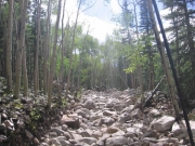 rock_garden_part_4