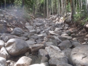 trail_part_4