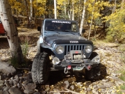 matt_in_leaves