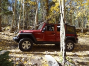 mike_in_leaves