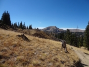 mining_hill
