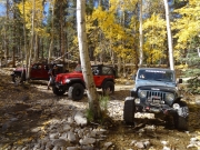 parked_at_the_stream