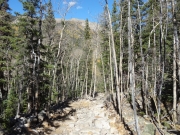 rocky_fun