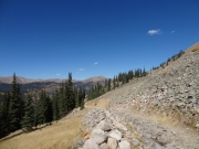 shelf_road