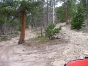 bottom_of_play_hill