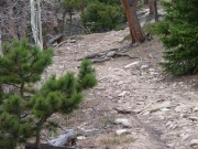 bumpy_climb