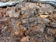 cool_log