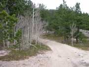 smooth_trail