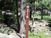 forest_road_sign