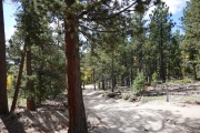 downhill