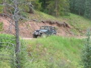 bob_on_the_trail