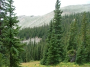 looking_back_on_technical_section