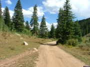 mellow_trail