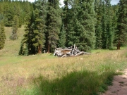 old_cabin