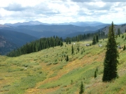 on_the_trail