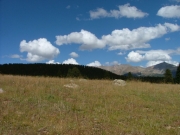 see_for_miles