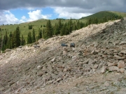 top_of_reno_divide