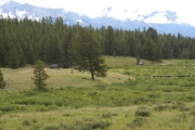 matt_and_mike_in_the_meadow