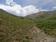 alpine_view
