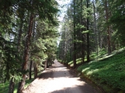 easy_trail