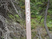 forest_service_sign
