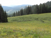 hillside