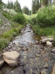 italian_creek