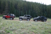 jeeps