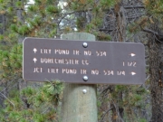 lily_pond_trail