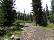 muddy_and_bumpy