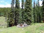 old_cabin