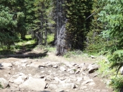 rocks_in_the_trail