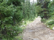 rocky_trail