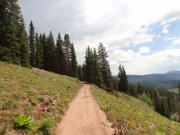 side_of_a_hill