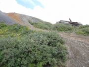tailings