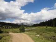 trail_with_a_view