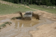walt_in_the_mud_part_2