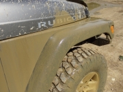 walt_muddy_part_2