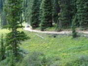 walt_on_the_trail
