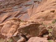 don_up_jacksons_ladder_part_1