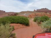 wavy_trail