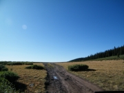 big_view
