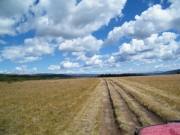 clouds